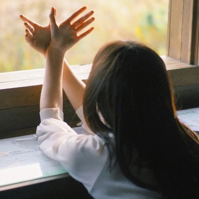 大进军——席卷大西南