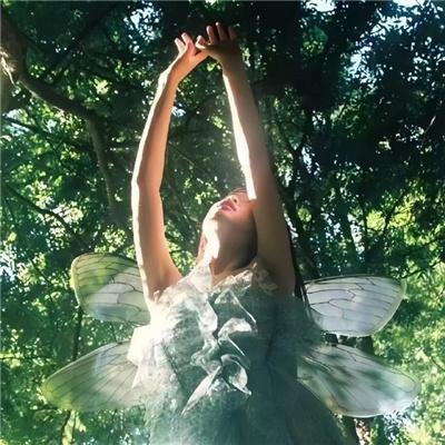 R-15欢迎来到女王大人的教室